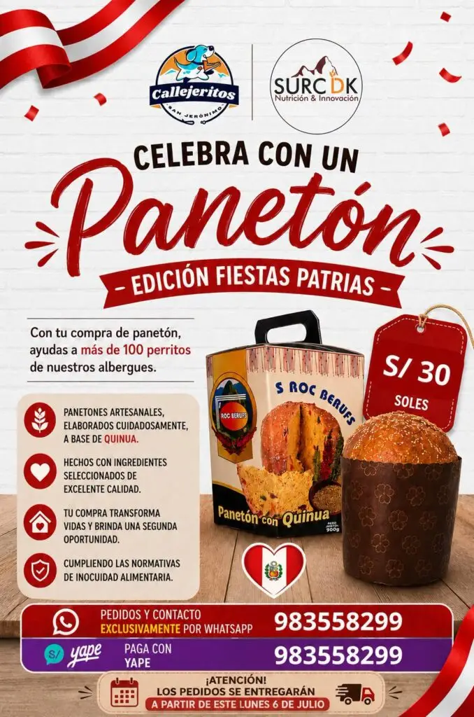Panetones Callejeritos