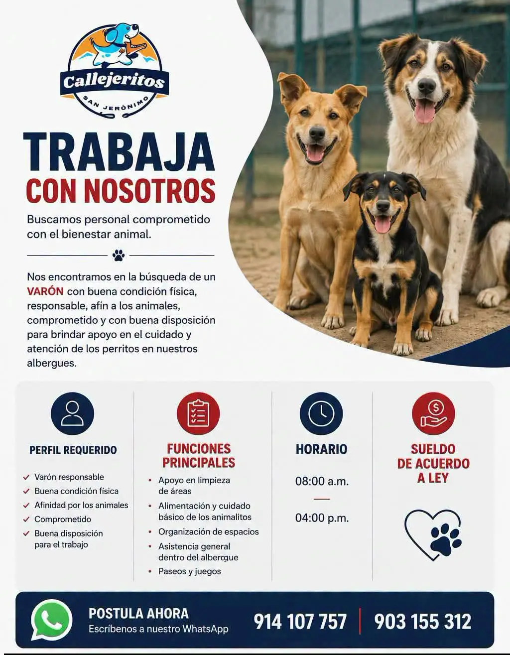Trabaja con nosotros